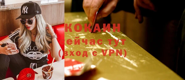 хмурый Белокуриха