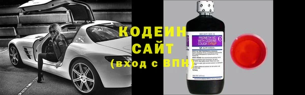 хмурый Белокуриха