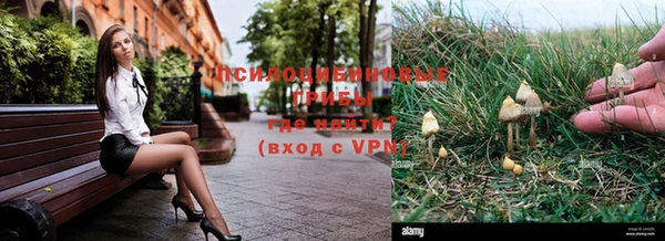 хмурый Белокуриха