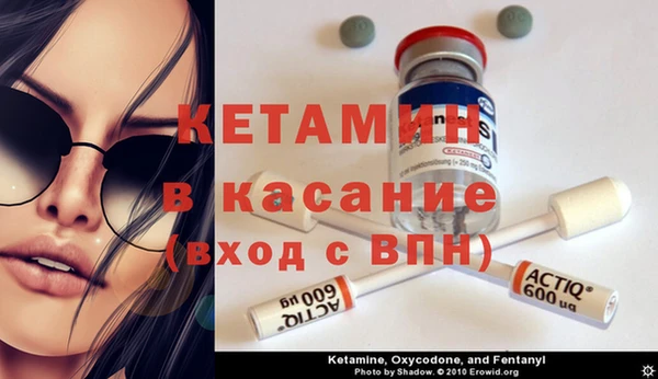 хмурый Белокуриха