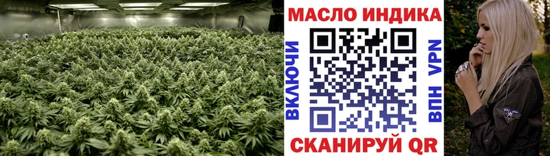 сколько стоит  Армавир  ТГК концентрат 