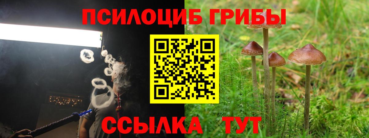 Псилоцибиновые грибы GOLDEN TEACHER Армавир