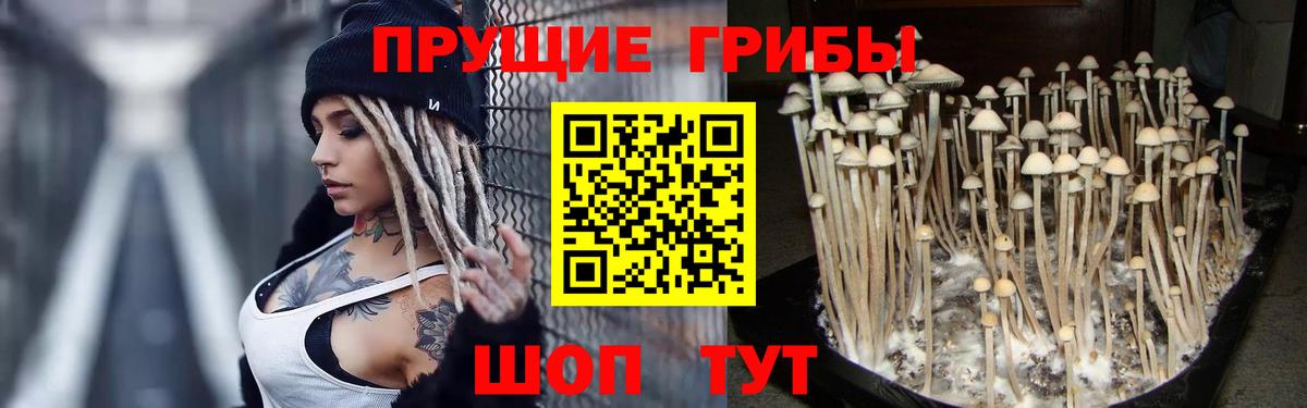 Галлюциногенные грибы мухоморы  Вход с VPN  Армавир 